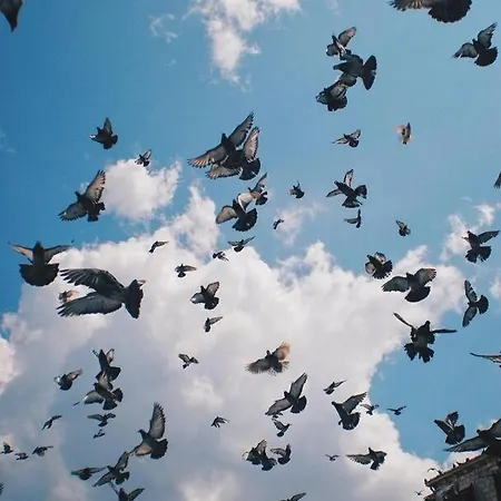 Apartmán Plaza Royal In The Centre *