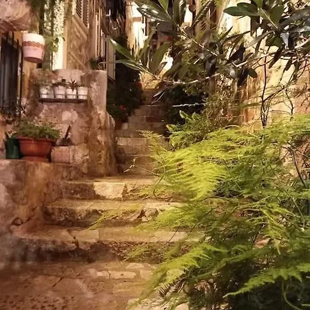 Plaza Royal In The Centre